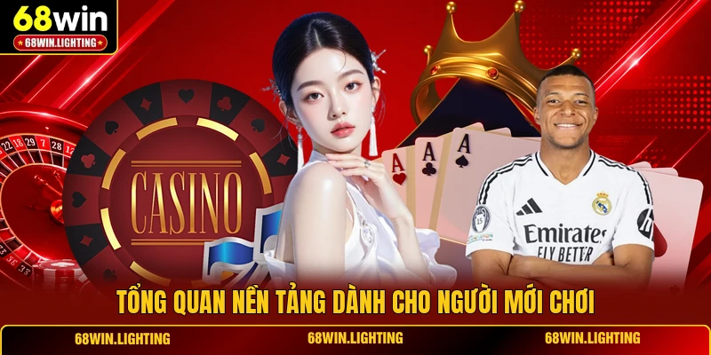 Tổng quan nền tảng dành cho người mới chơi
